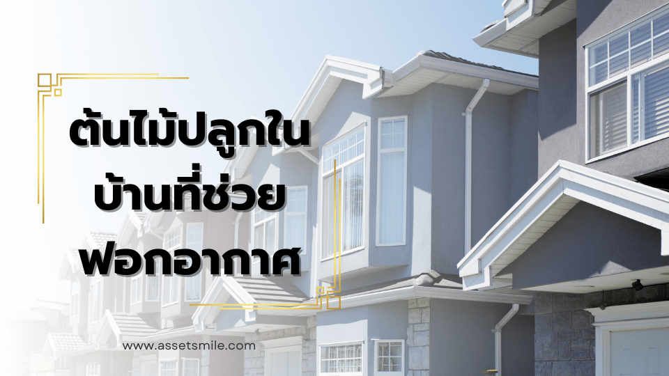 แนะนำต้นไม้ปลูกในบ้านที่ช่วยฟอกอากาศและเสริมโชคลาภ